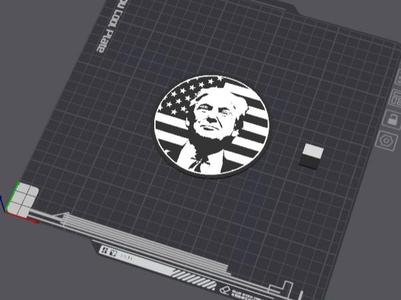 Donald Trump Coaster
