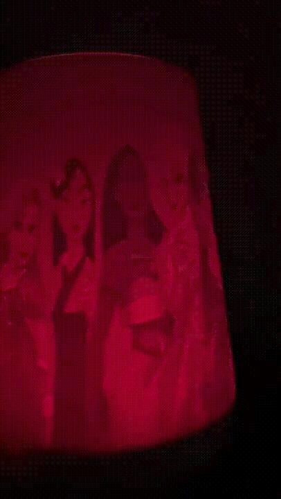 Disney Princess Hatch Rest Lithophane Cover