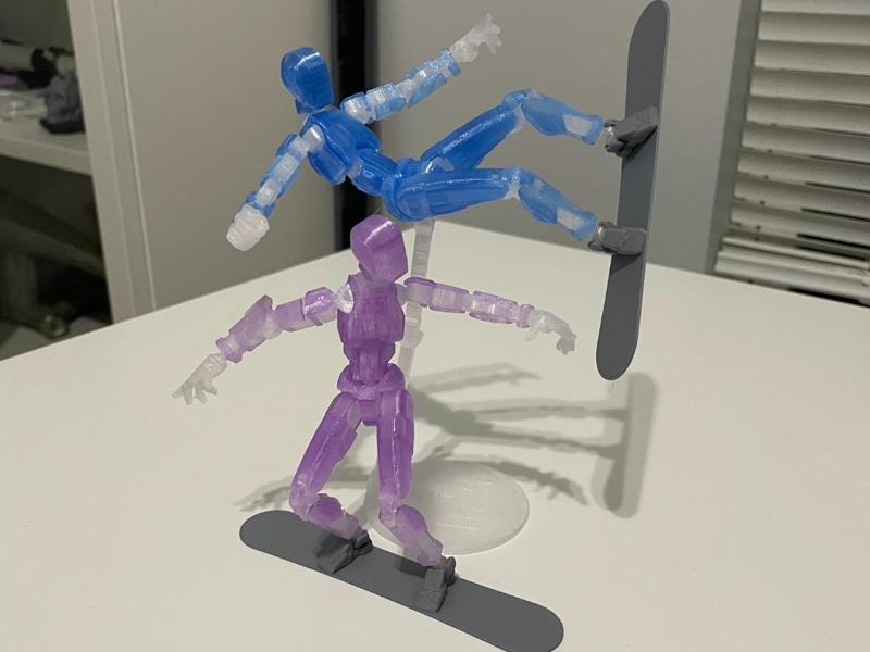 Snowboard for Dummy 13
