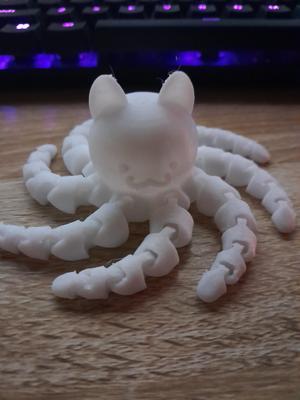 Cat Octopus