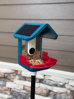 Bird Buddy Perch with Bird Bath and Picket Fence Remix