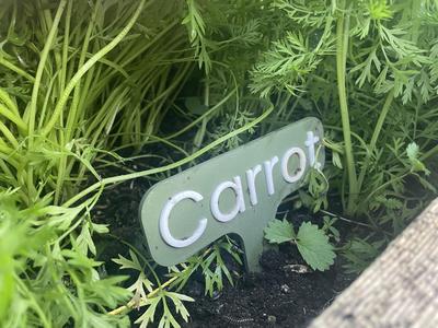 Garden Plant Label