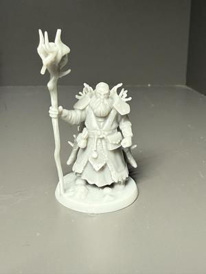 druid for the for the Dungeons and Dragons game DND (resin or FDM)