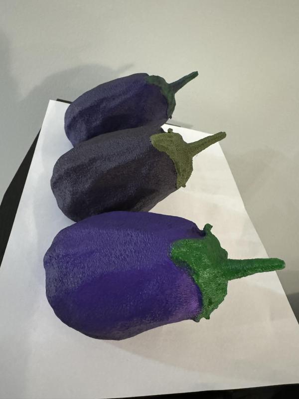 eggplant scan
