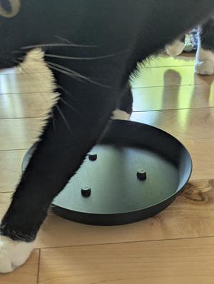 Simple 6" Planter Tray Dish