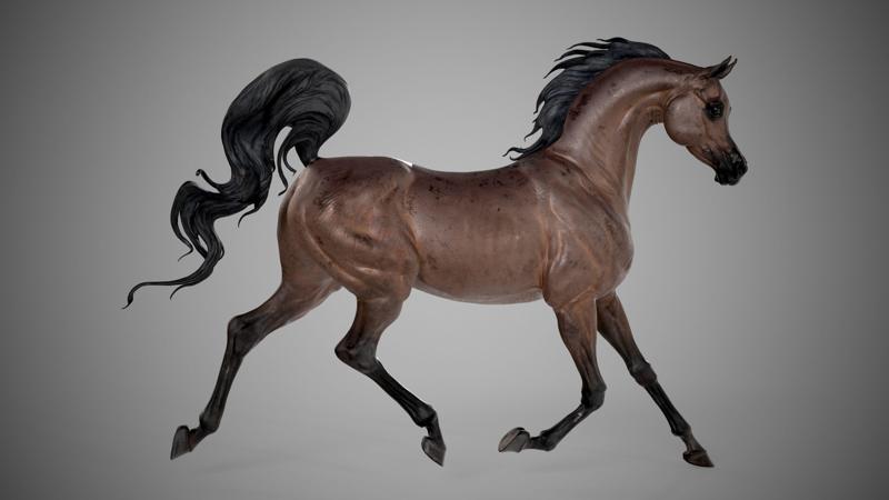 Arabian horse - 3D Sculpting - High Poly