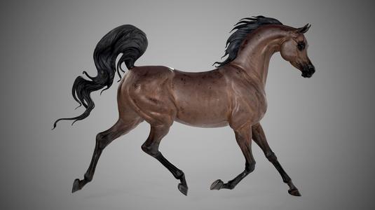 Arabian horse - 3D Sculpting - High Poly