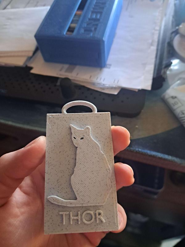 cat name keychain
