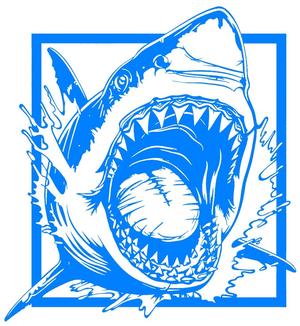 2D Shark 1