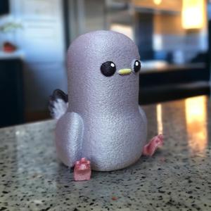 Baby Pigeon