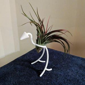 Bird Air Plant Holder