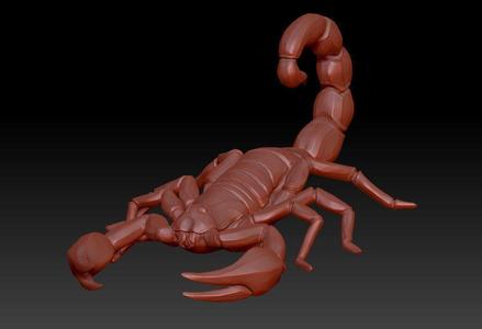 Scorpion