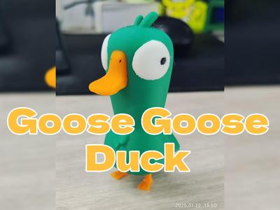 Goose Goose Duck/鹅鸭杀