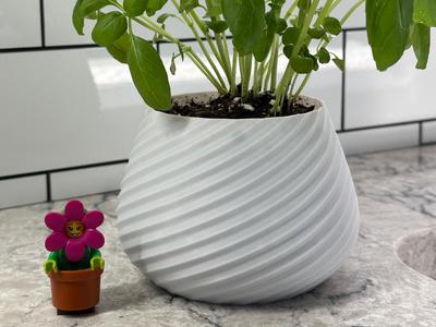 Plant Pot