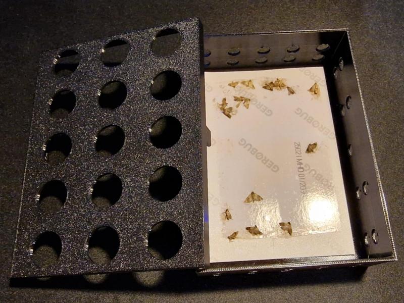 Moth Trap Sticker Box