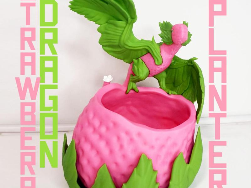 Strawberry Dragon Plant Pot 