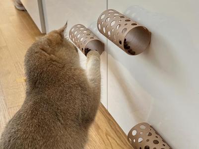 The Interactive Treat Roller for Clever Cats! 