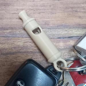 Old Metropolitan police whistle