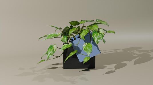 Tumble Intersect Pot Plant - Home Decor