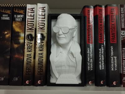 Stan Lee Book Nook