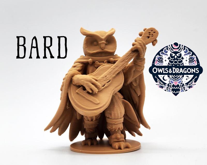 The Bard - Owls & Dragons