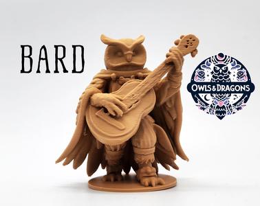 The Bard - Owls & Dragons