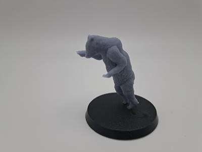 Bear C