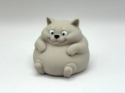 Sitting Chonky Cat
