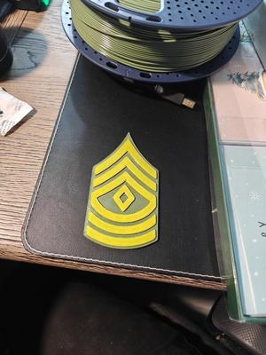 US Army First Sergeant/E-8 Rank