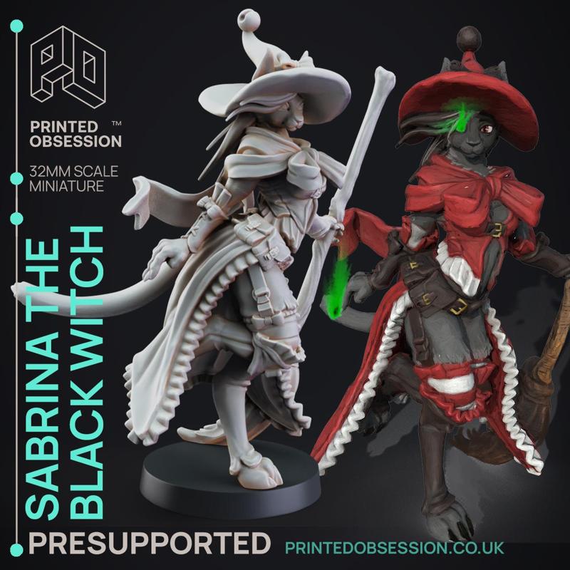 Black Witch Tabaxi - Tabaxi Caravan - PRESUPPORTED - 32mm scale - Illustrated & Stats