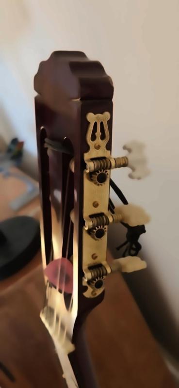 Acoustic Guitar Tuning Peg