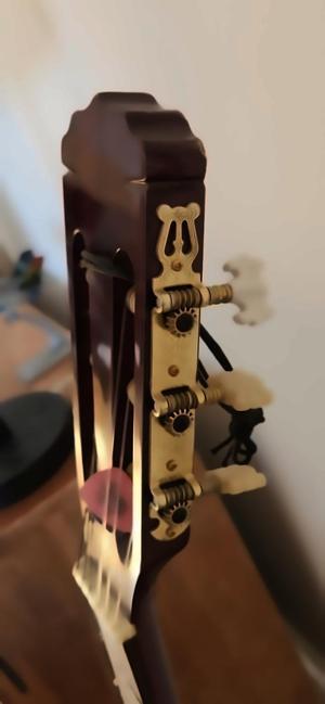 Acoustic Guitar Tuning Peg