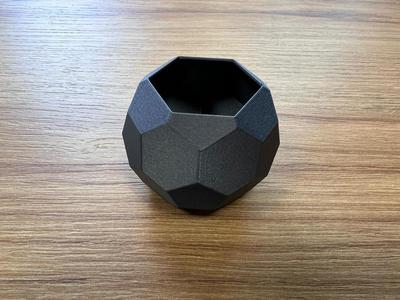 Cactus Pot 2