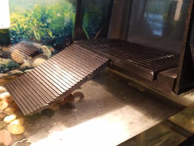 Modular Turtle Climbing Platform