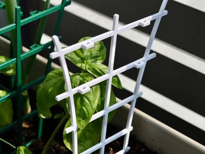 Mini Trellis