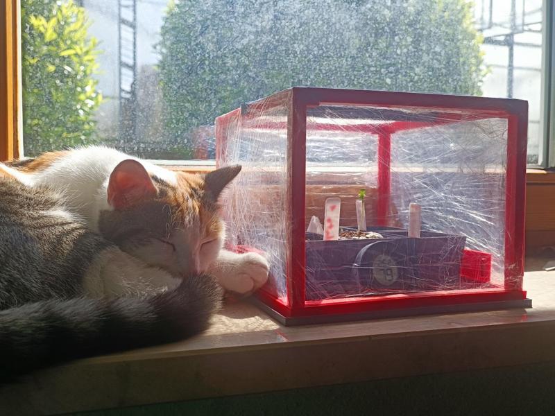 Mini Greenhouse for Seedlings