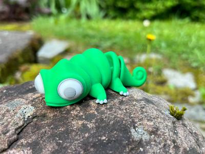 Adorable articulated lizard