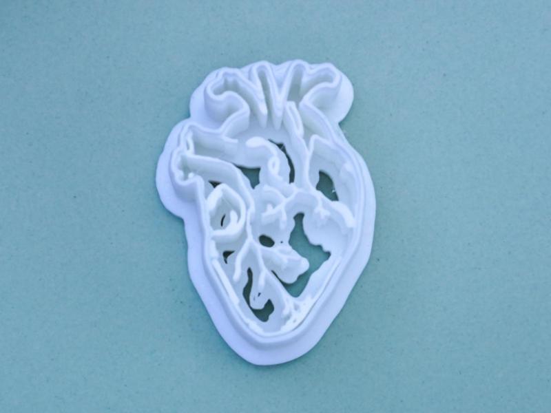 Anatomical Heart Clay Cutter Polymer Clay Earrings