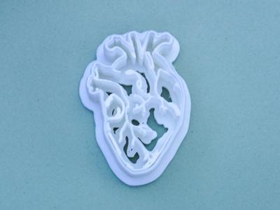 Anatomical Heart Clay Cutter Polymer Clay Earrings