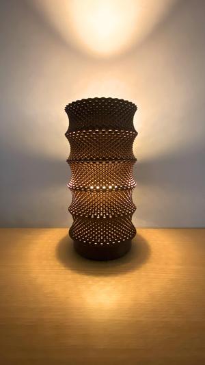 Leo Lampshade - Adaptive E27 Pendant Lamp & Table Lamp by Lunfardo