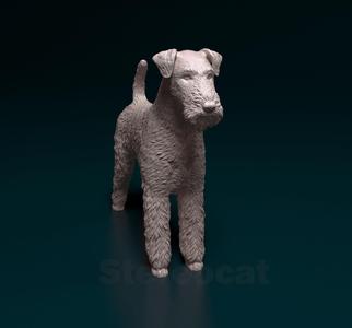 Airedale terrier