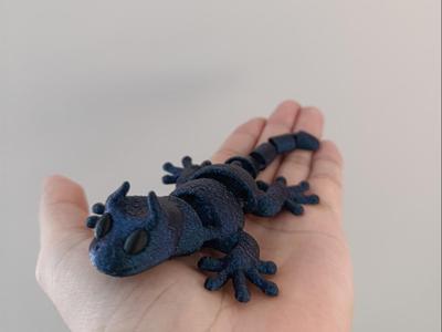 Midnight Dragon Gecko