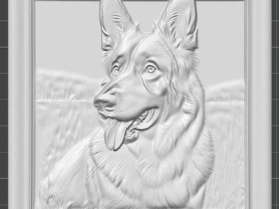 german sheperd 3d picture 