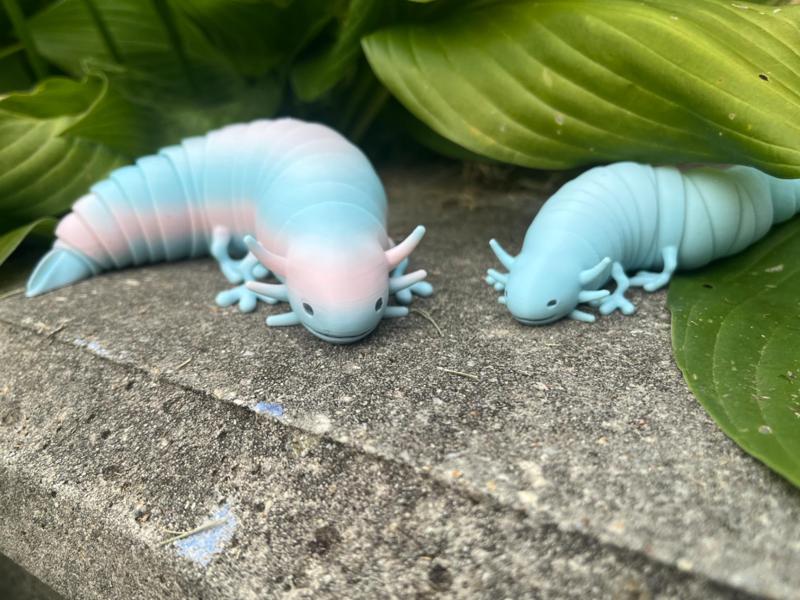 Axolotl slug 