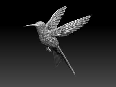colibri humming bird