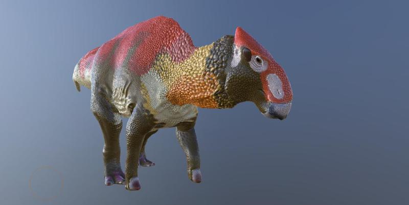 Revised Brachylophosaurus