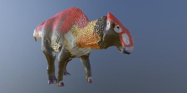 Revised Brachylophosaurus