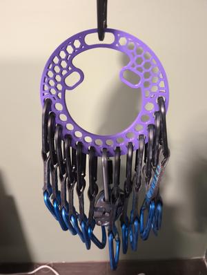Climbing gear organizer