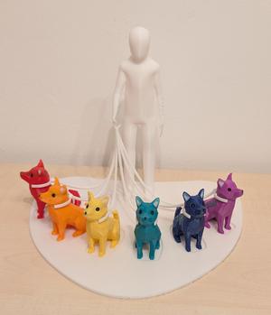Human standing with 6 dogs