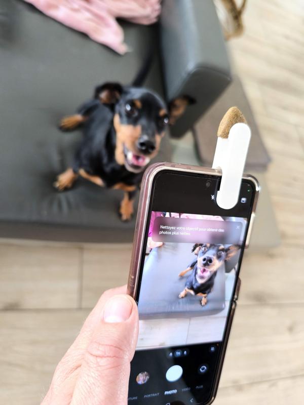Pet Selfie Clip - Pince à seflie pour chien chat 